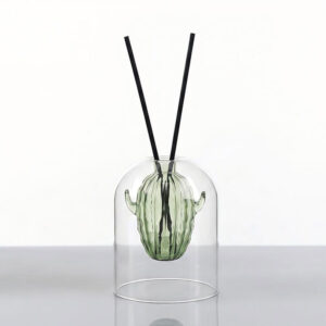 Double-layer glass reed diffuser bottle, green cactus inner bottle, transparent bell outer cover, with black reed sticks, home fragrance decoration
