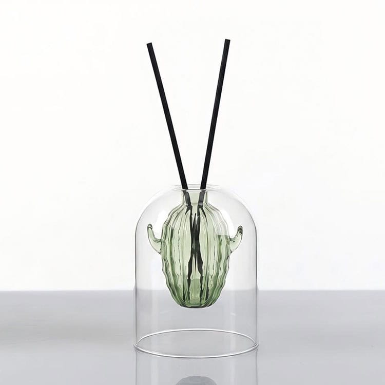 Double-layer glass reed diffuser bottle, green cactus inner bottle, transparent bell outer cover, with black reed sticks, home fragrance decoration