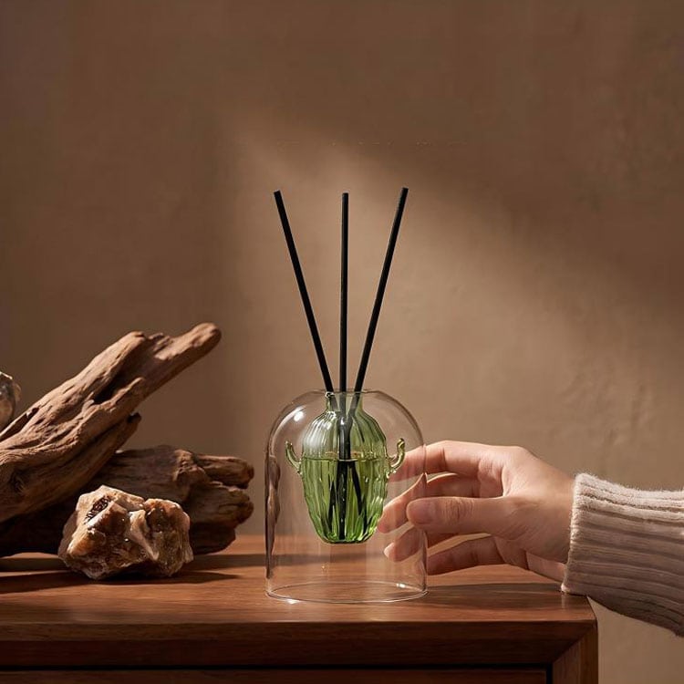 Double-layer cactus glass reed diffuser bottle, green inner cactus vessel, clear bell dome, with black reed sticks, warm home scene decor