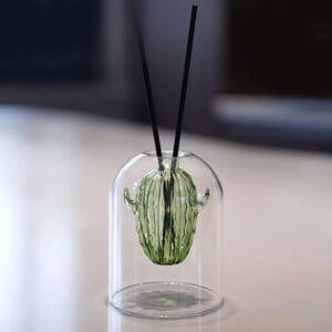 Double-layer cactus glass reed diffuser bottle, ribbed green cactus inner vessel, transparent bell dome, fitted with black reed sticks, indoor desktop decor